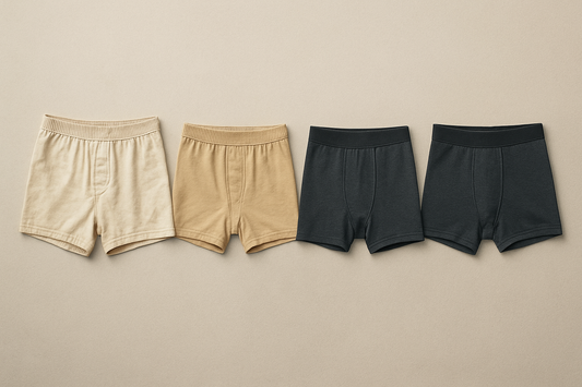 L’évolution du boxer : du ring de boxe aux dressings modernes